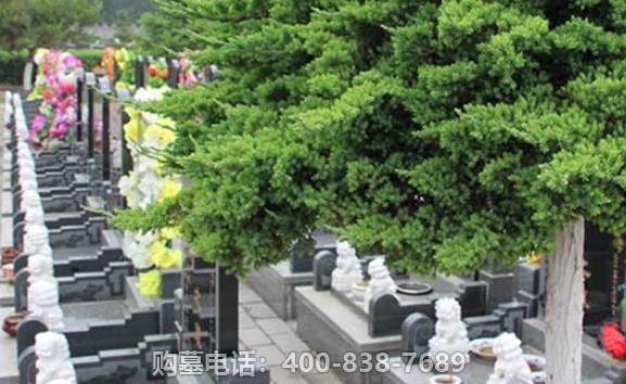 昌平区天寿陵园环境怎样?交通便利吗? 昌平区天寿陵园环境怎样?交通便利吗?