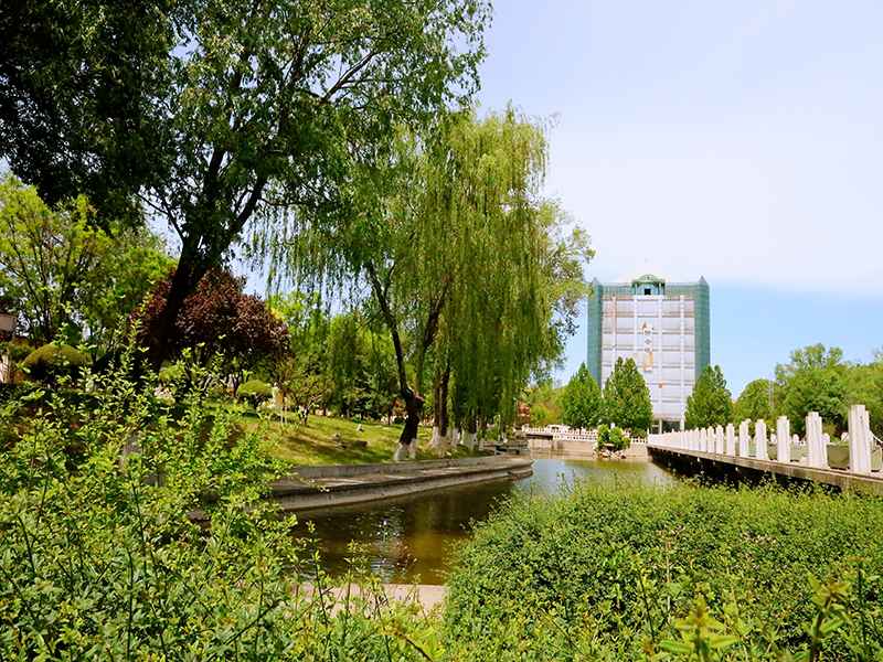 静安墓园预约流程什么样(扫墓需要准备什么东西) 静安墓园预约流程什么样(扫墓需要准备什么东西)