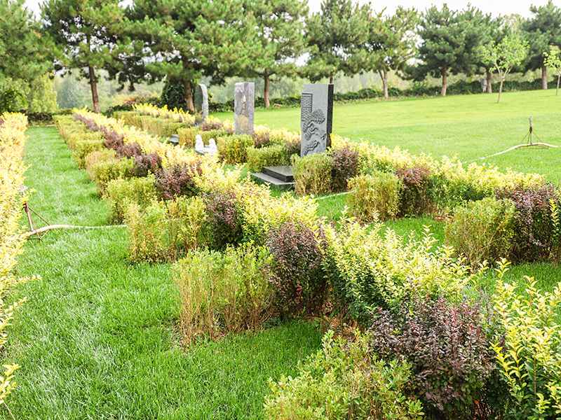 灵山宝塔陵园有扫墓班车吗(如何前往灵山宝塔陵园) 灵山宝塔陵园有扫墓班车吗(如何前往灵山宝塔陵园)