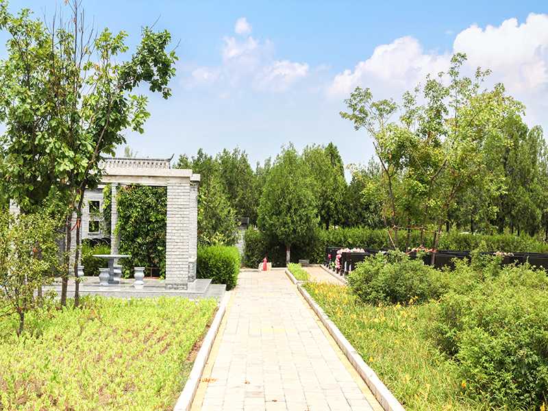 金山陵园在哪（金山陵园好不好）