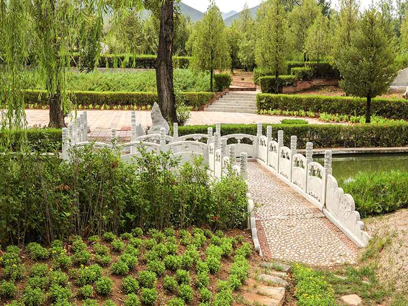 安葬时需要放粮食吗（什么是五彩粮，哪里有售）